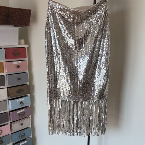 H&M Dresses & Skirts - H&M Silver Sequin Midi Skirt with Fringe
23” inches